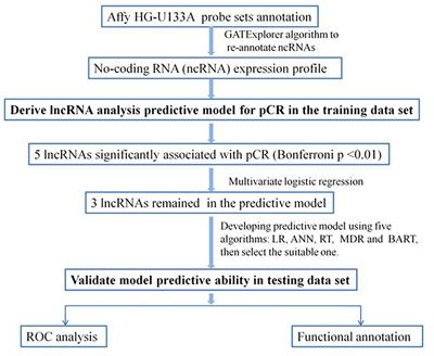 LncRNA Profile Study Reveals a Three-LncRNA Signature Associated With the Pathological Complete Response Following Neoadjuvant Chemotherapy in Breast Cancer